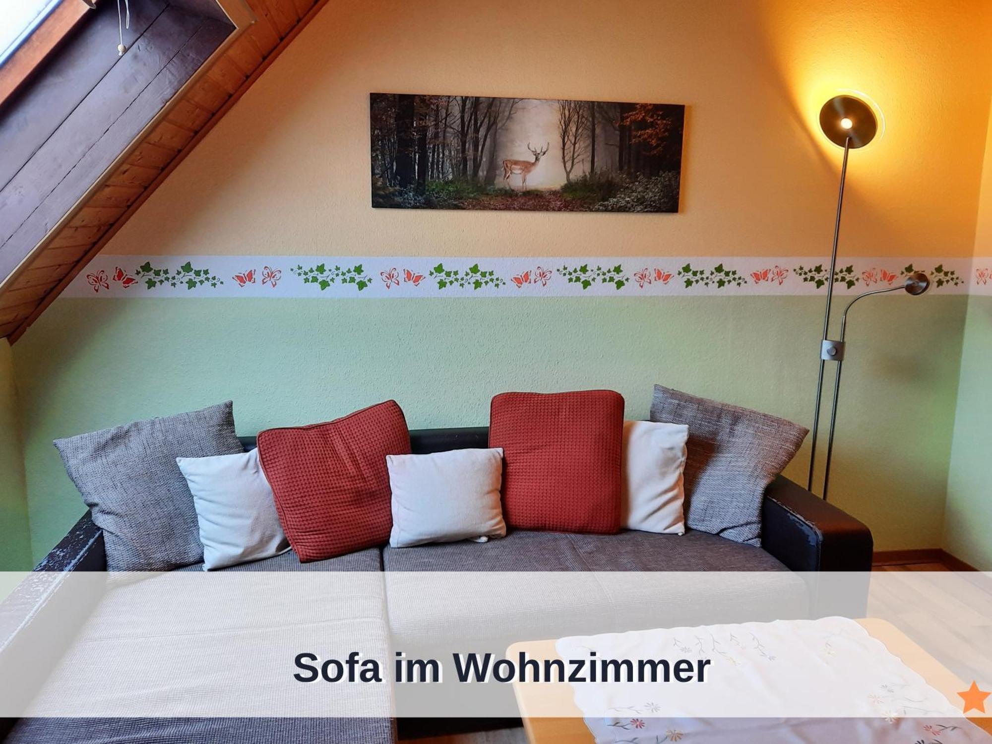 Okerstern Schulenberg im Oberharz