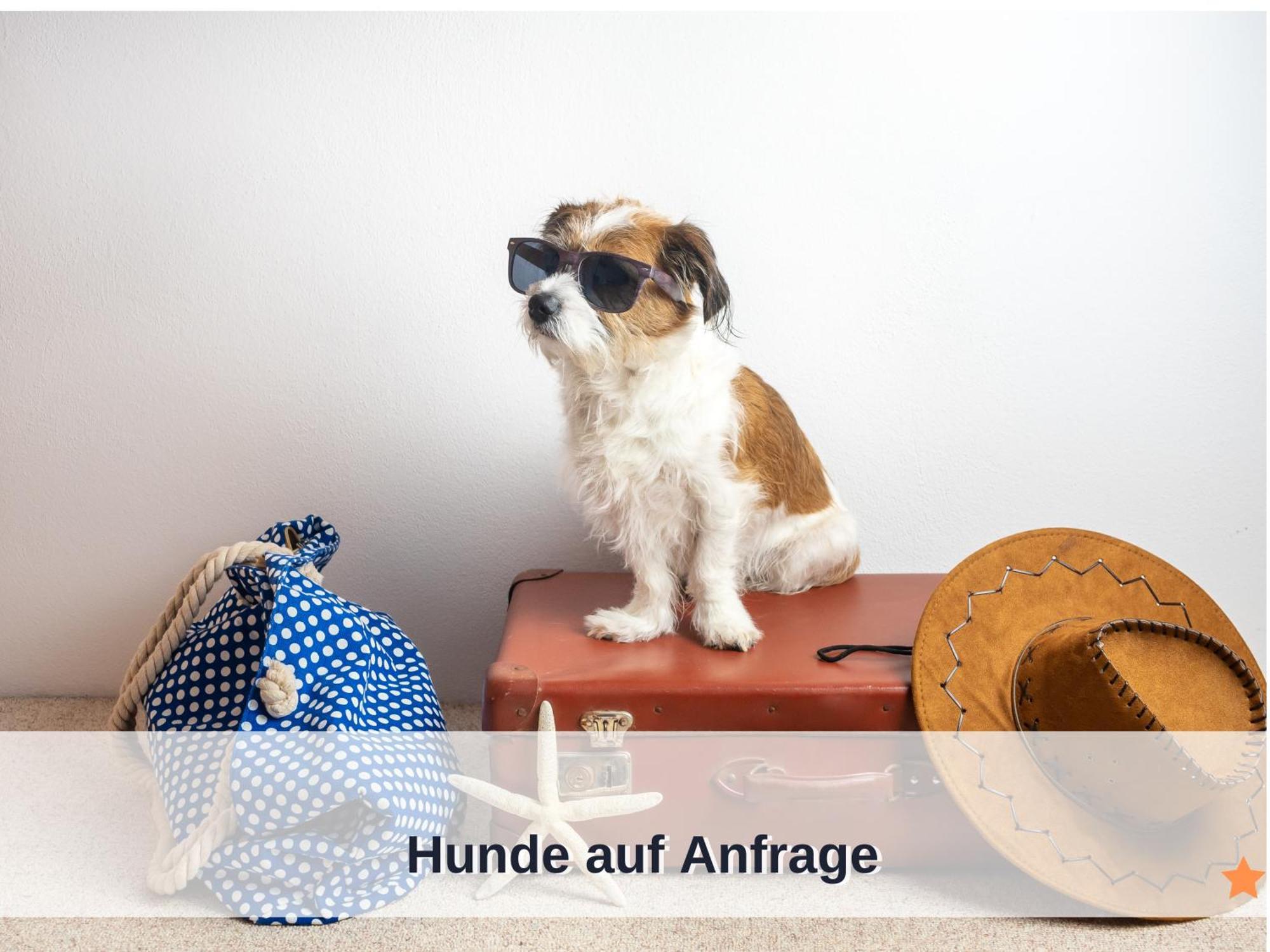 Okerstern Appartement